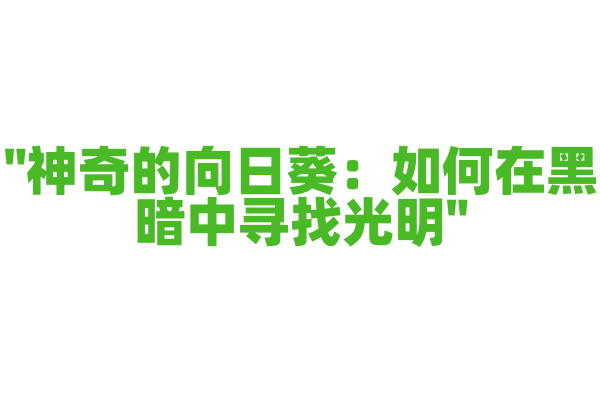 "神奇的向日葵：如何在黑暗中寻找光明"